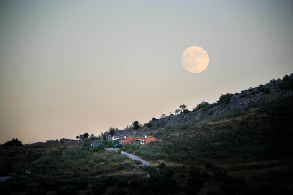Cortijo Nuevo Alojamiento Rural Cuevas del Becerro Exterior foto